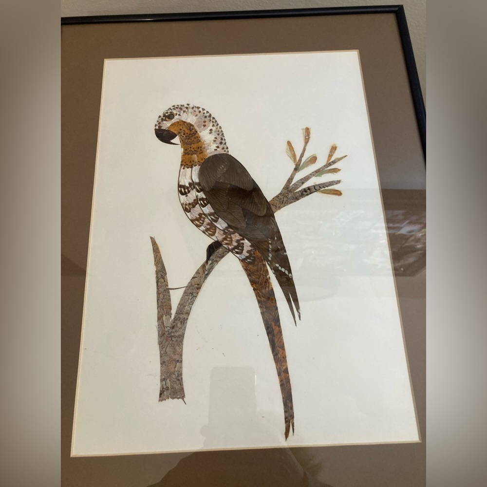 Vintage artwork parrot made out of butterfly wings